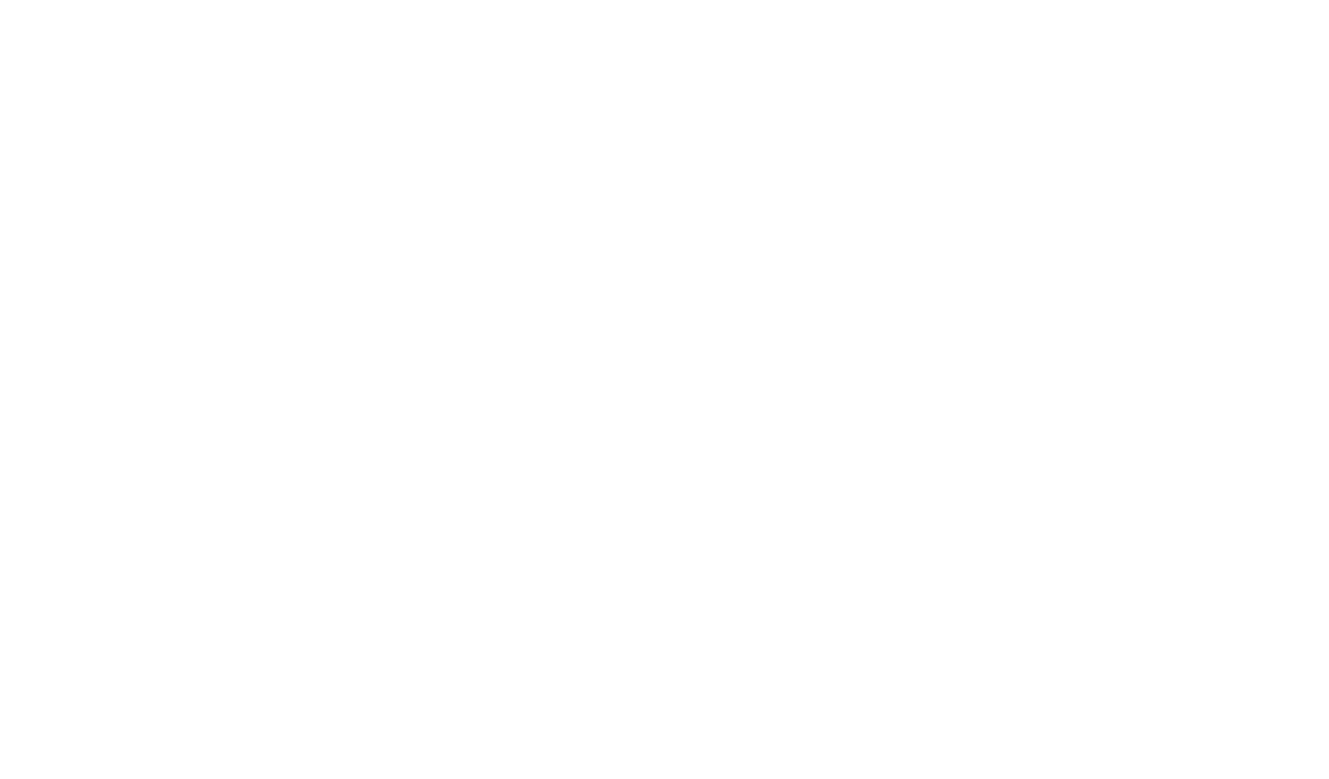 Logo Júnior Mineiro